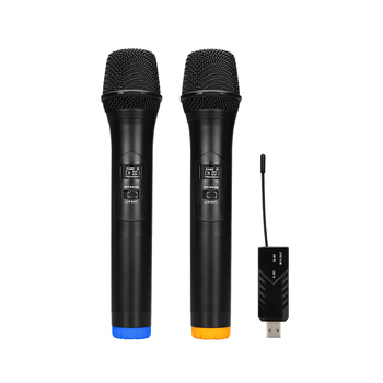 Mini Wireless Microphone WM-2 Mikrofon Master Microphone for Outdoor Activities KTV Karaoke PA Speaker Home Studio